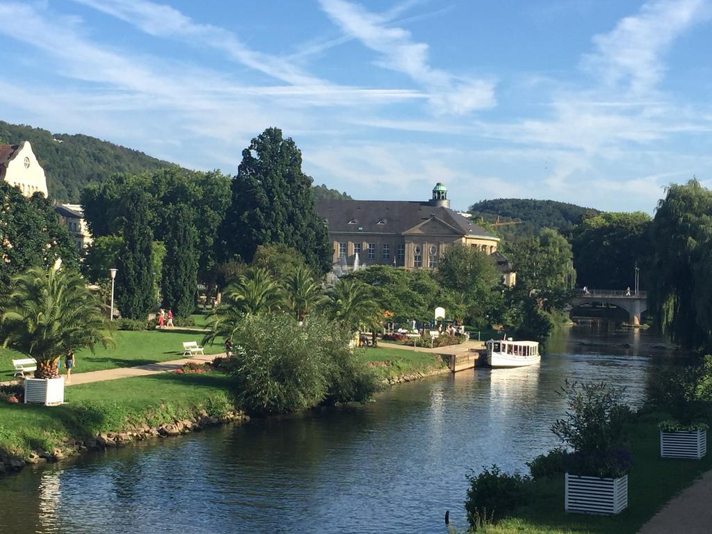 Appartement Idyllisches Wohnen Weinberg à Bad Kissingen Chambre photo